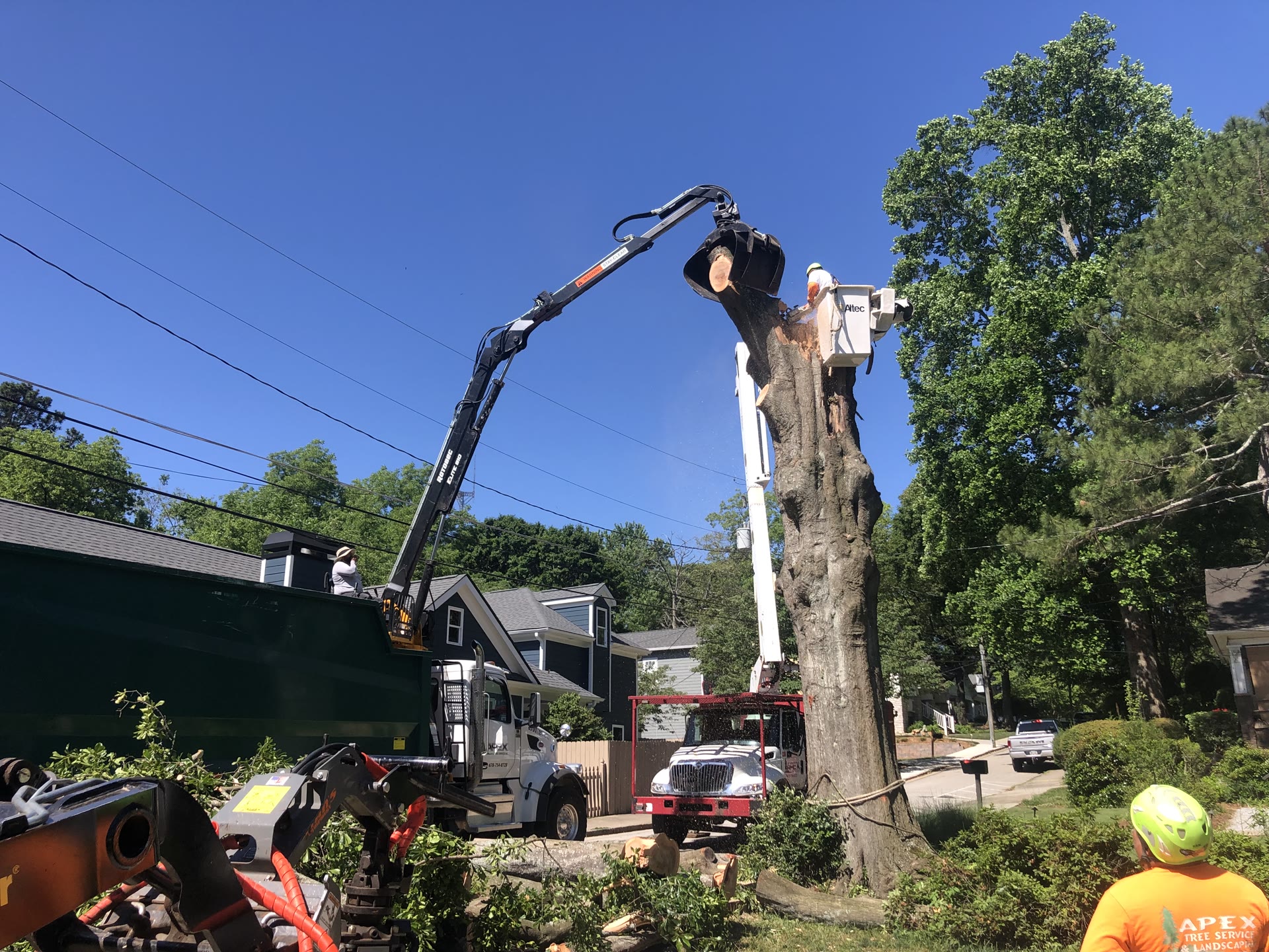 Crane and grapple equipment around a large tree spar