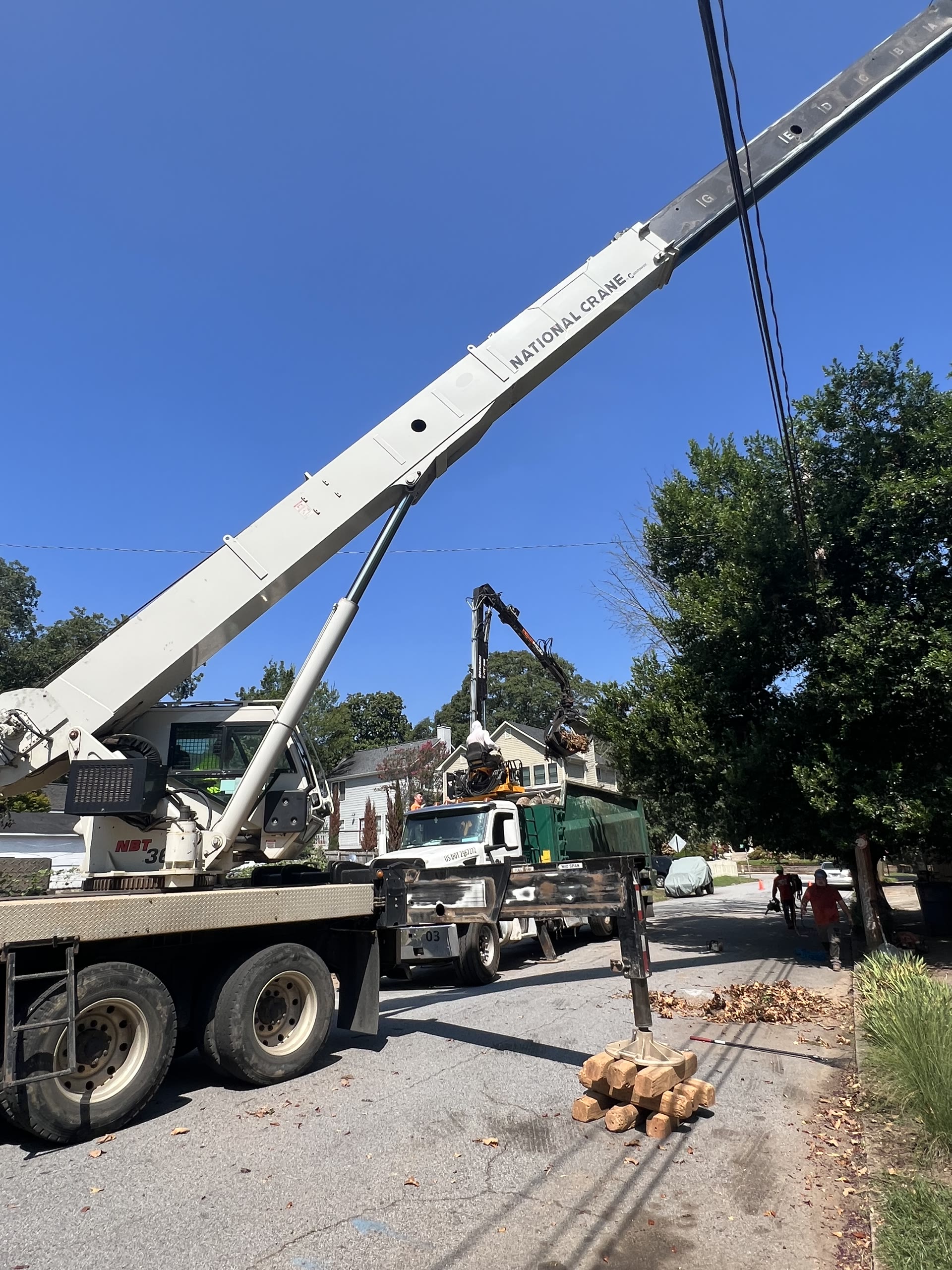Crane lifting suspended tree material