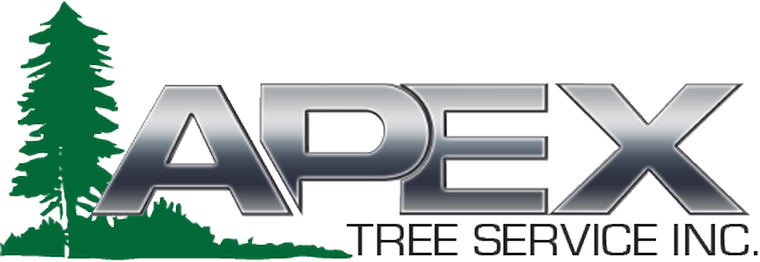 Apex Tree Service