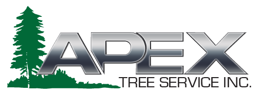 Apex-jpg-Logo-cropped-1